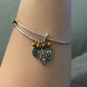 Paparazzi Jewelry Bangle Bracelet